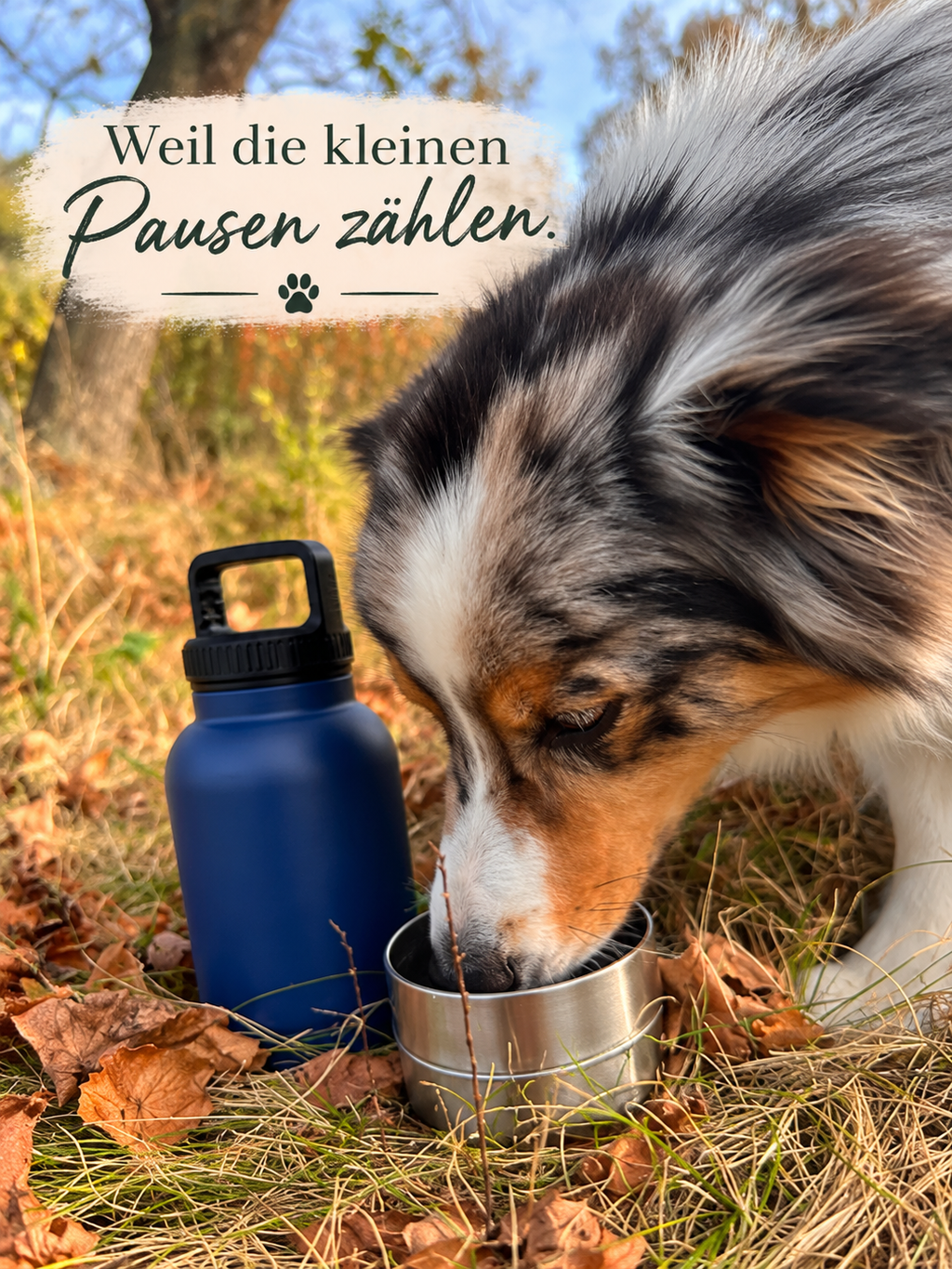 TrailBuddy™ Pro – Outdoor Wasser & Snack