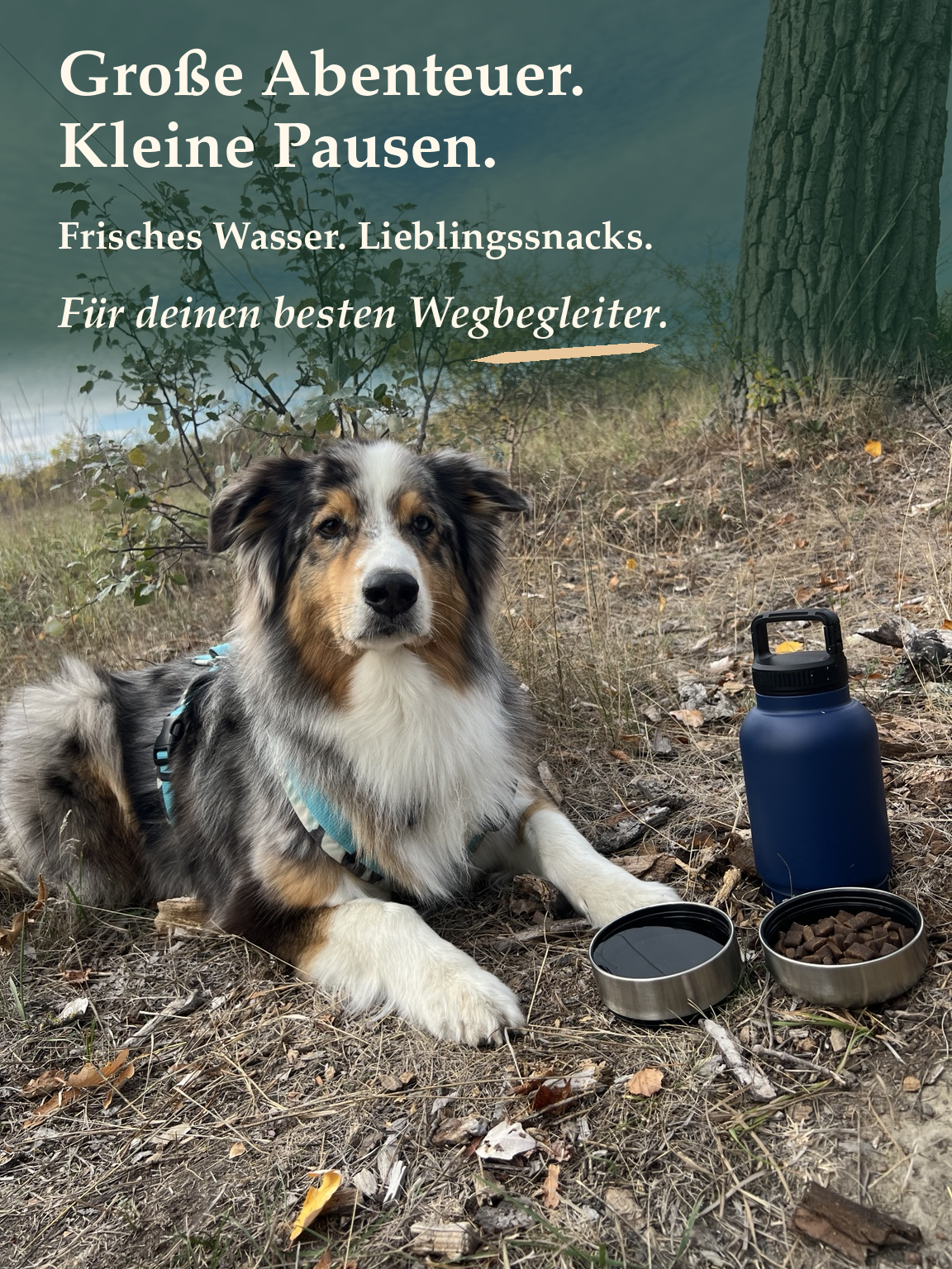 Loui mit TrailBuddy Flasche und zwei Näpfen. Große Abenteuer. Kleine Pausen. Frisches Wasser. Lieblingssnacks. Für deinen besten Wegbegleiter.